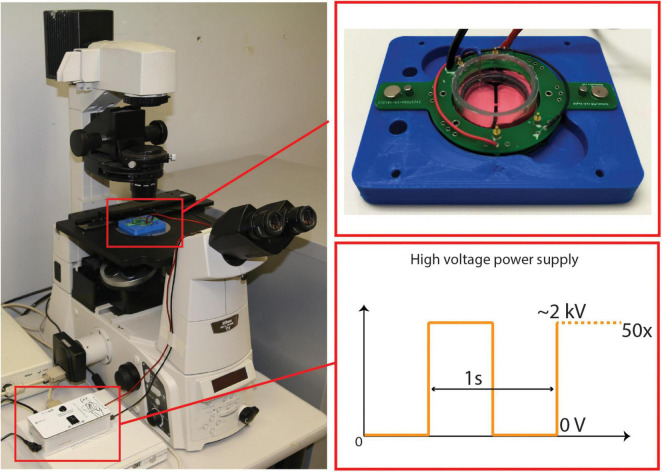 FIGURE 3