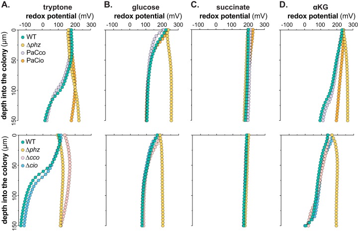 FIG 6