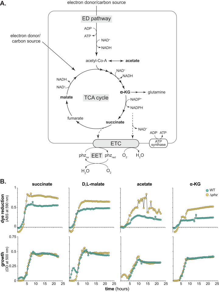 FIG 1