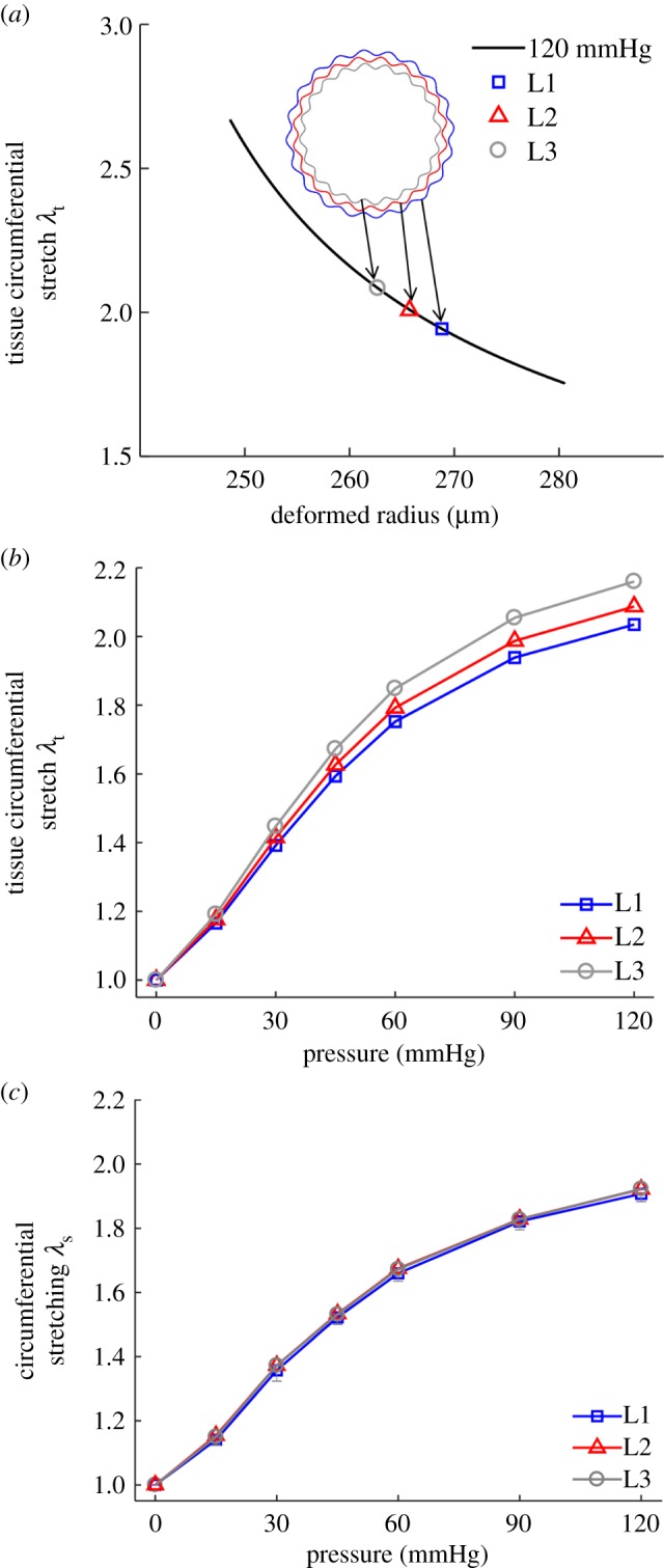 Figure 5.