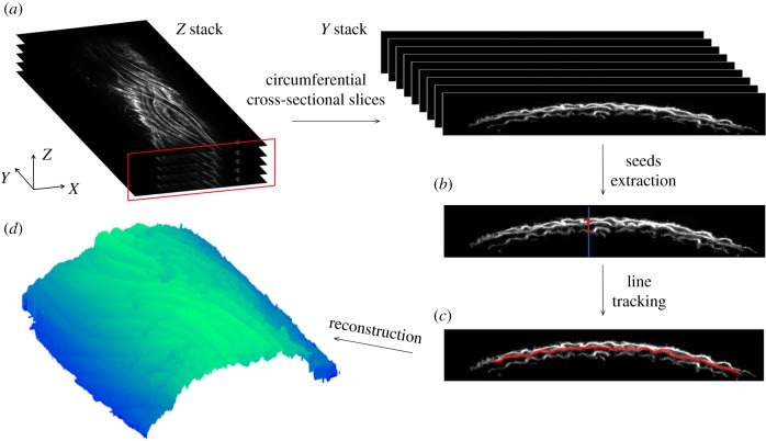 Figure 2.