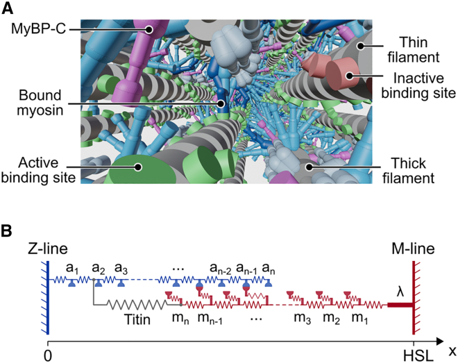 Fig. 2