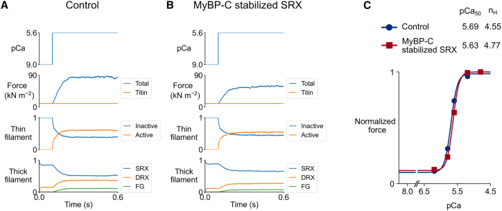 Fig. 4