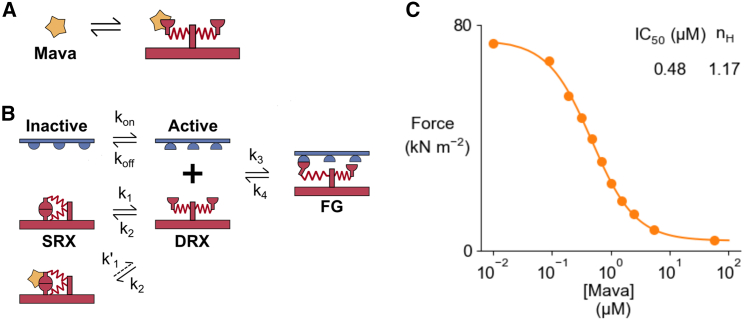 Fig. 7