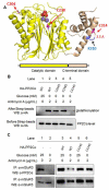 Fig. 6