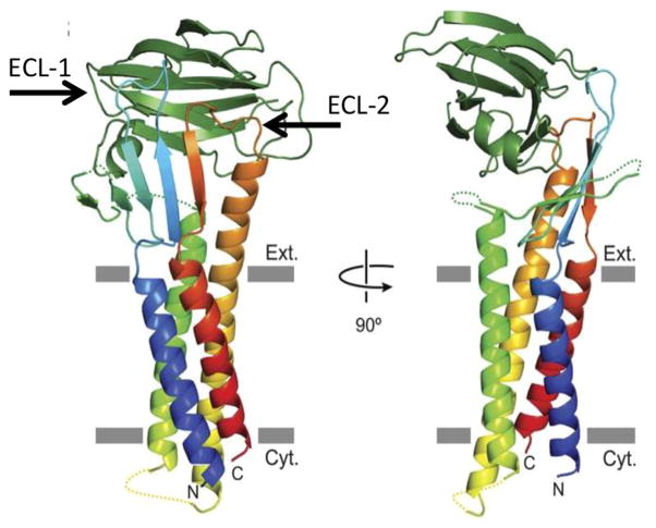 Fig. 6