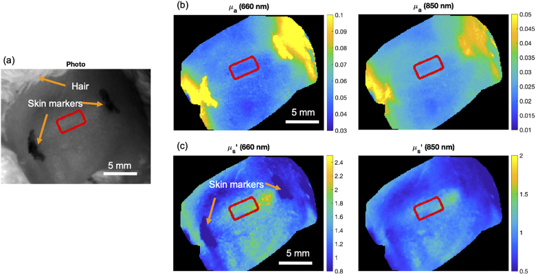 Fig. 7.