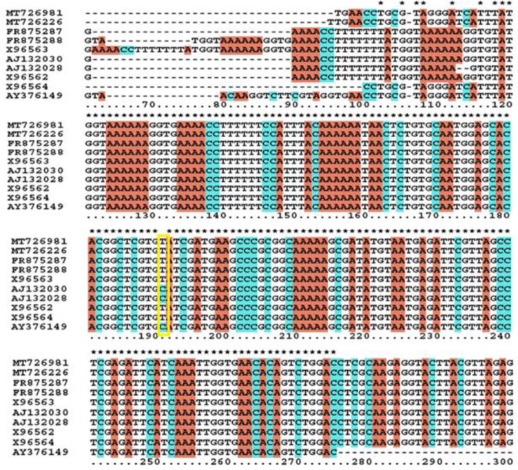 Fig. 3: