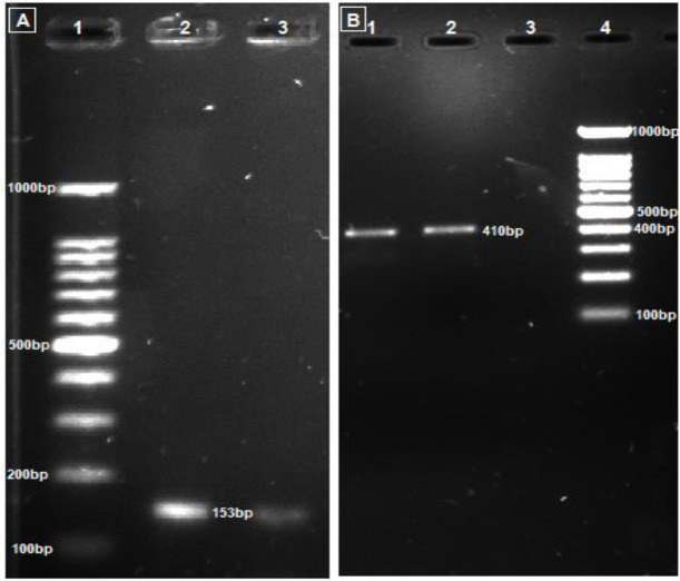 Fig. 2: