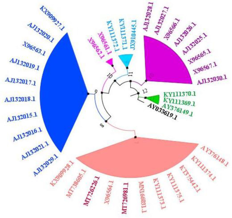 Fig. 4: