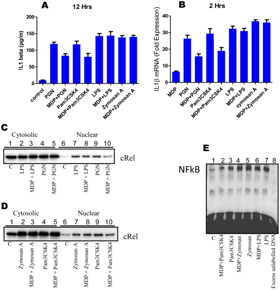 Figure 4