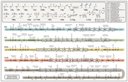 graphic file with name nihms659485u1.jpg