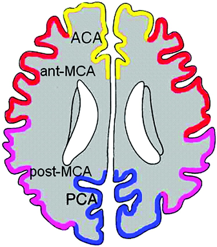 Fig 1.