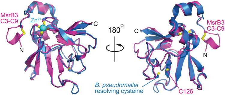 FIG. 4.