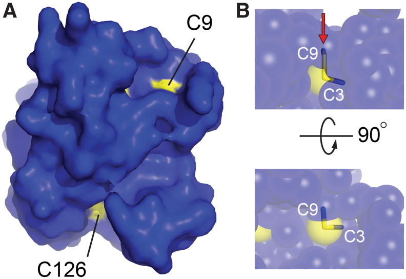 FIG. 3.