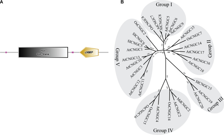 FIGURE 1