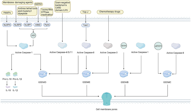 Figure 2