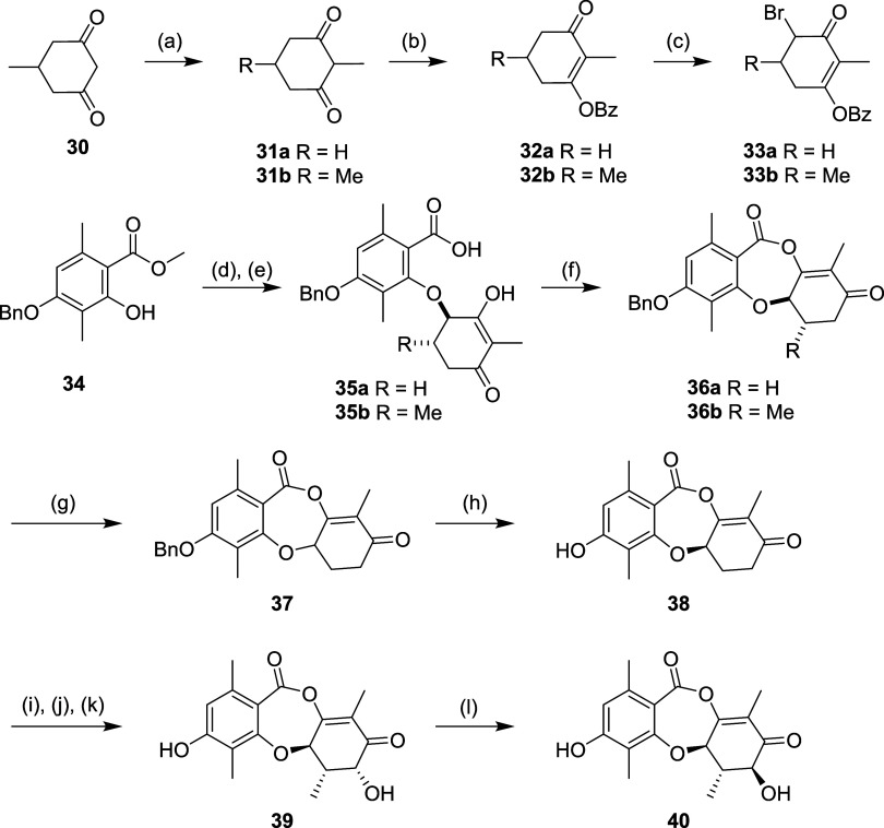 Scheme 4