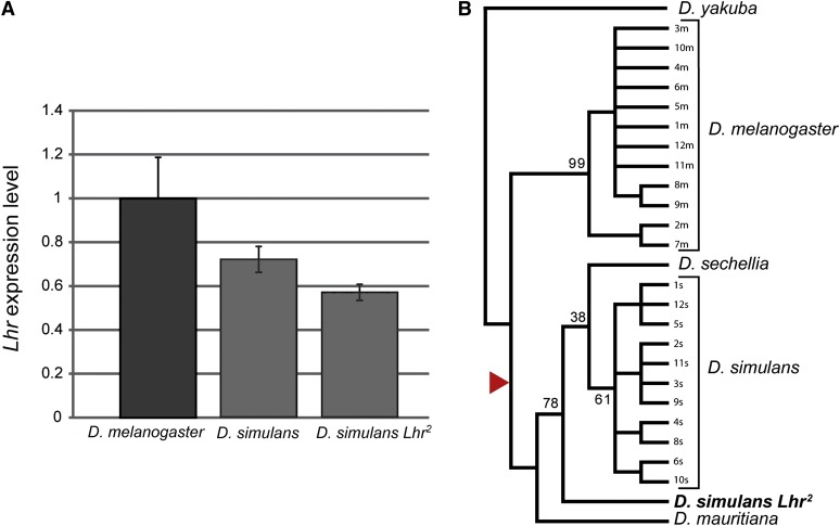 Figure 2 