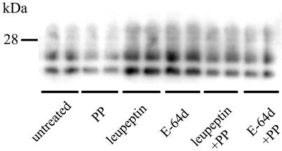 FIG. 6.