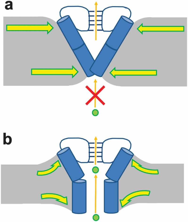 Figure 7.