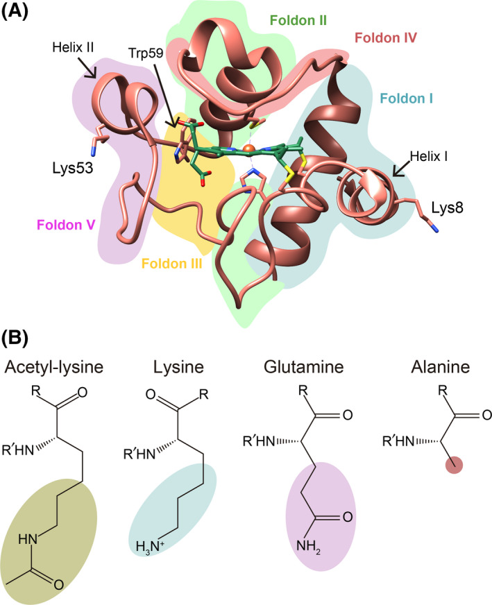 Fig. 1