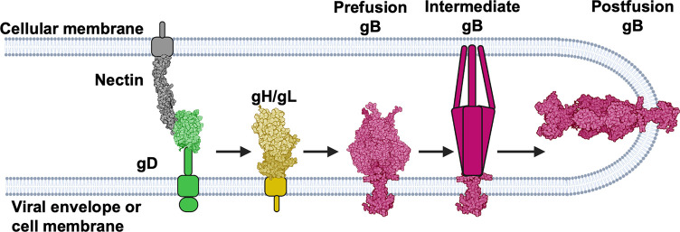 Fig 1