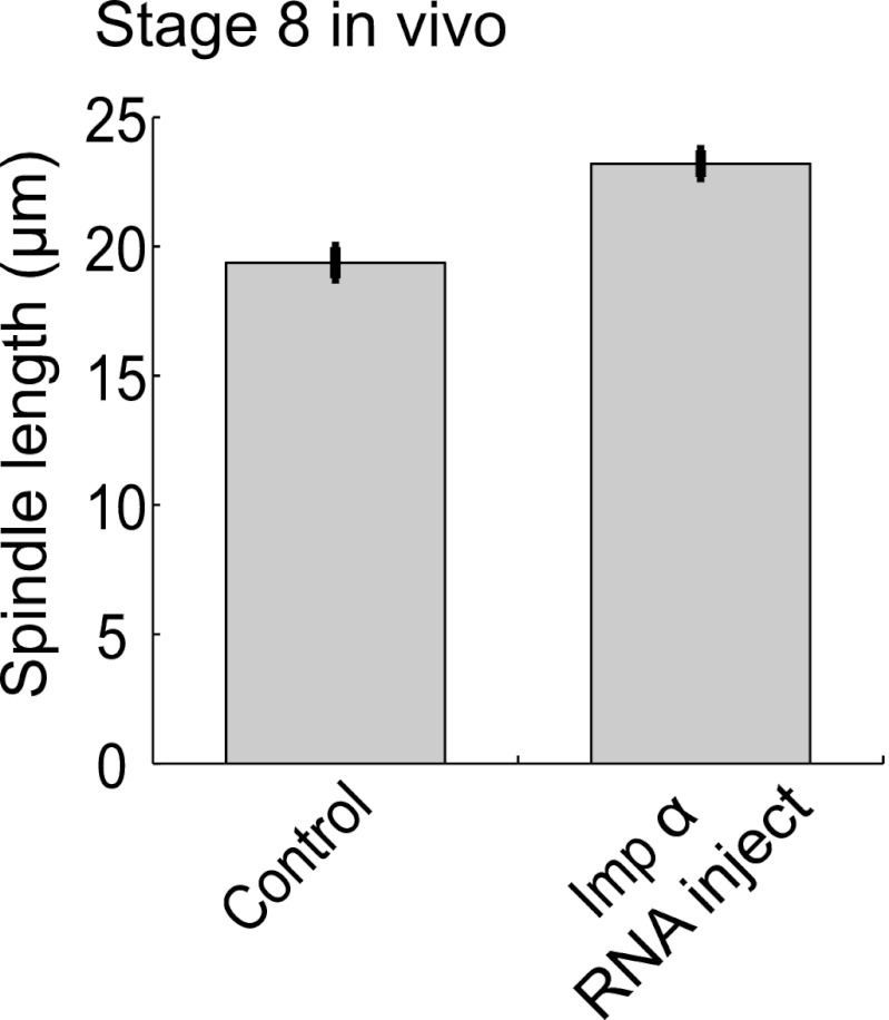 Figure 5—figure supplement 1.