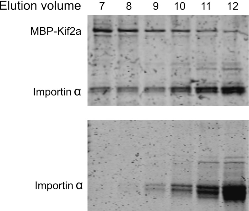 Figure 4—figure supplement 2.