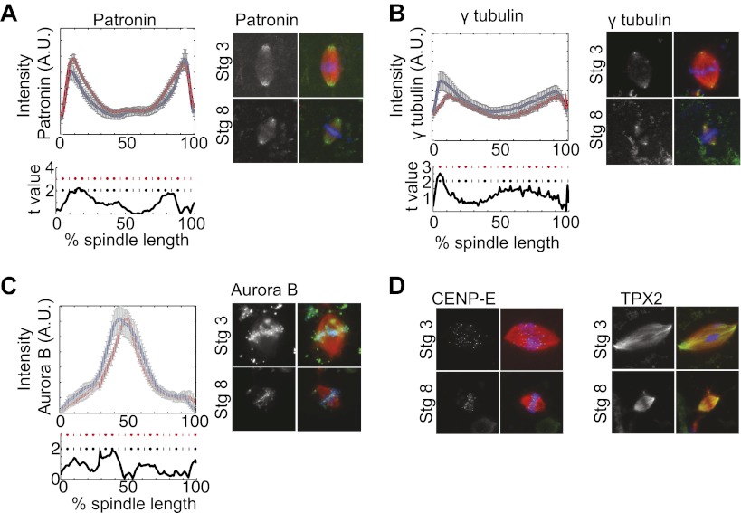 Figure 3—figure supplement 1.