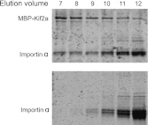 Figure 4—figure supplement 2.