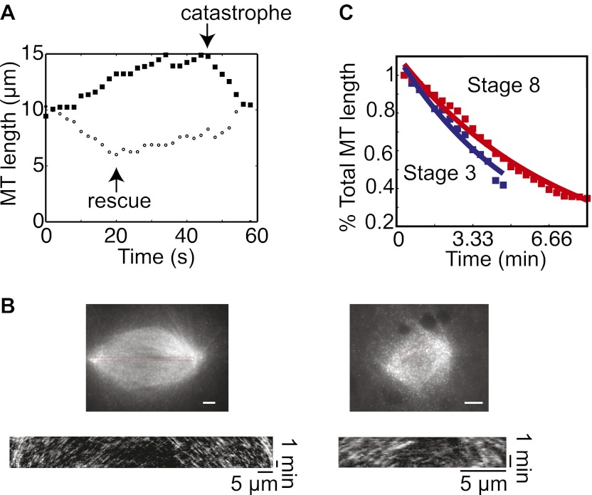 Figure 1—figure supplement 1.