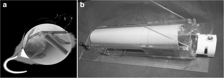 Fig. 1