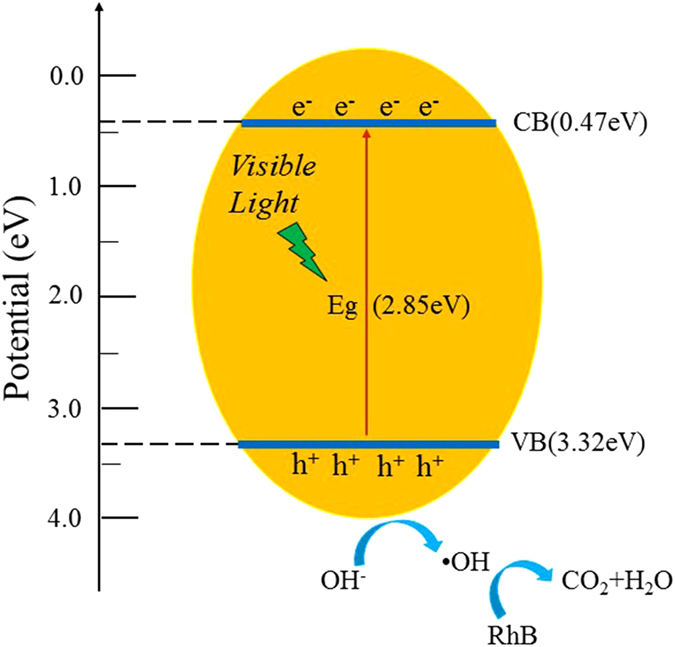 Figure 11