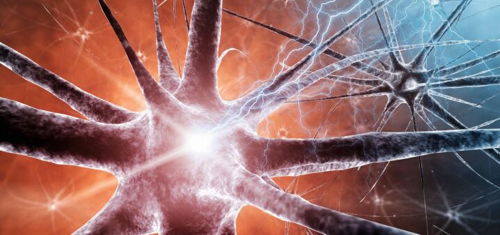 graphic file with name 15005_2021_2121_Fig1_HTML.jpg