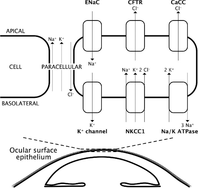 Figure 1.