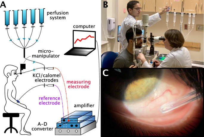 Figure 2.