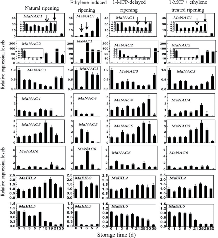 Fig. 7