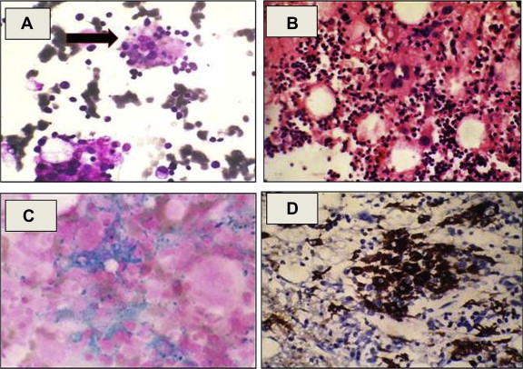 Fig. 3