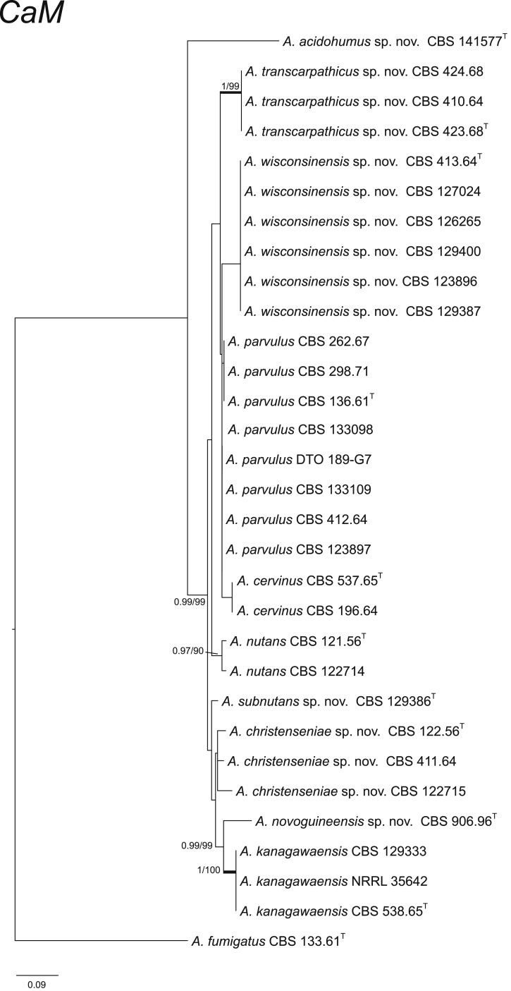 Fig. 2