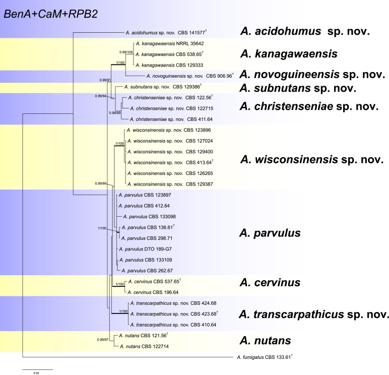 Fig. 1