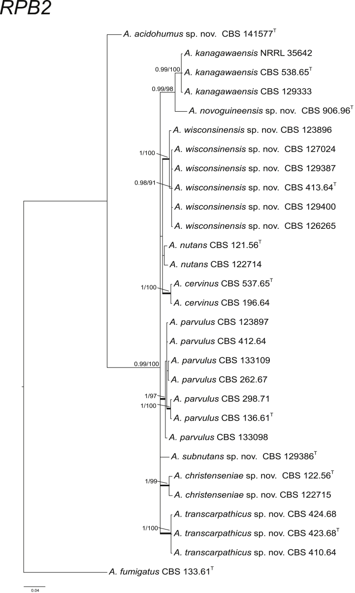 Fig. 3