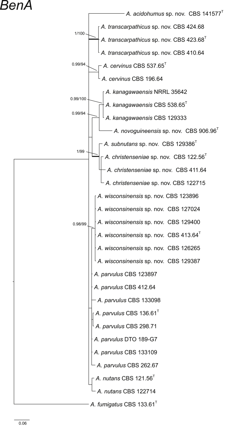 Fig. 4