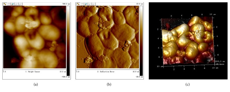 Figure 4