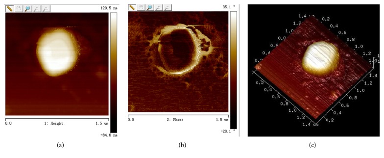 Figure 2