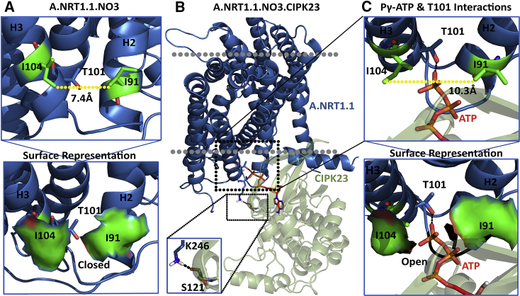 Figure 4