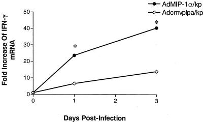 FIG. 9.