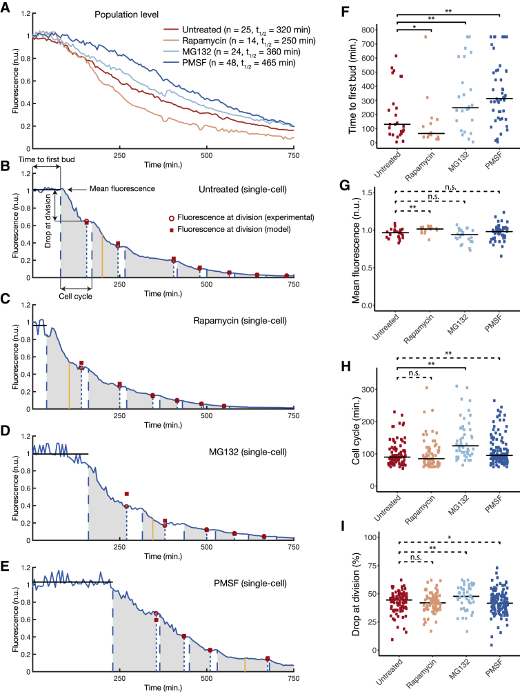 Figure 6