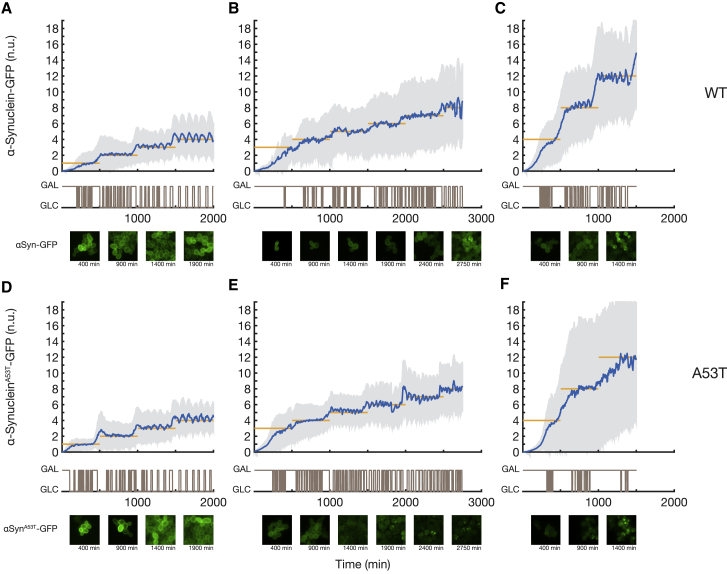 Figure 3