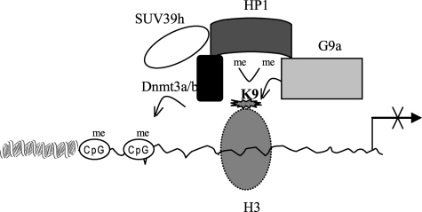 FIGURE 9.